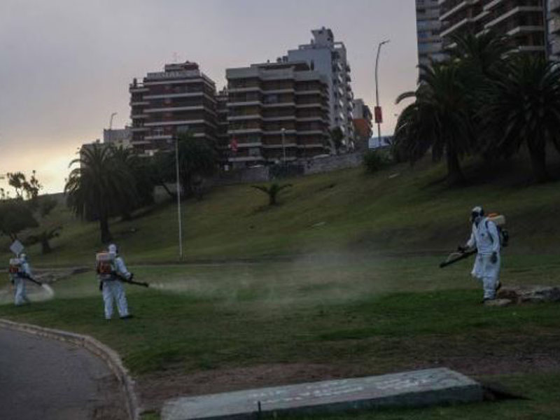 Fumigaciones en distintas zonas de la ciudad para evitar la propagación del mosquito