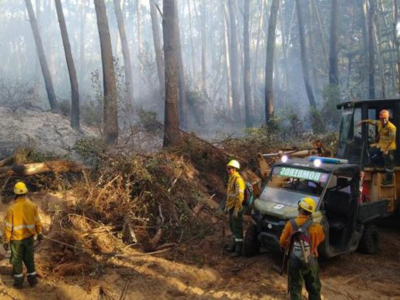 Ayuda para apagar incendios forestales en Cariló y Tandil