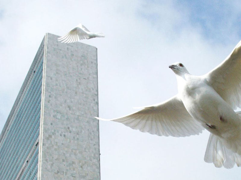 En el Día de la No Violencia, ONU reitera su llamado a un alto el fuego global