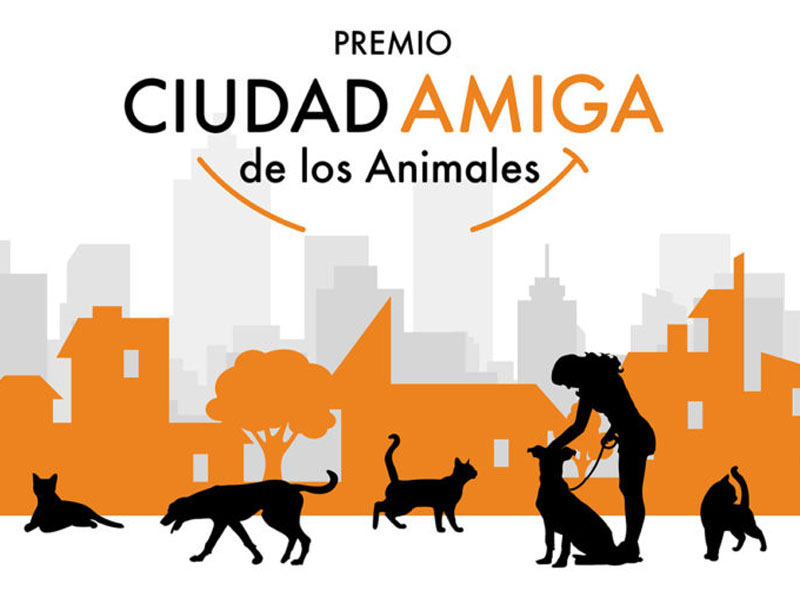 Convocatoria: Premio Ciudad Amiga de los Animales